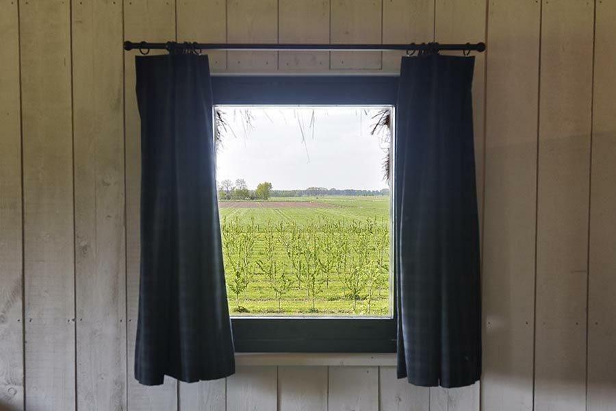 De Steltenberg In De Betuwe Zoelen