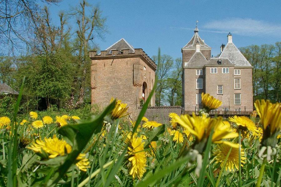 De Steltenberg In De Betuwe *