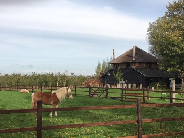 De Steltenberg In De Betuwe Holiday home Zoelen
